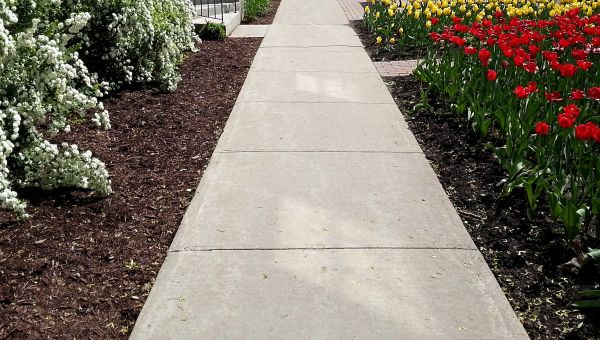 Cost of Concrete Sidewalk Service in Bakersfield