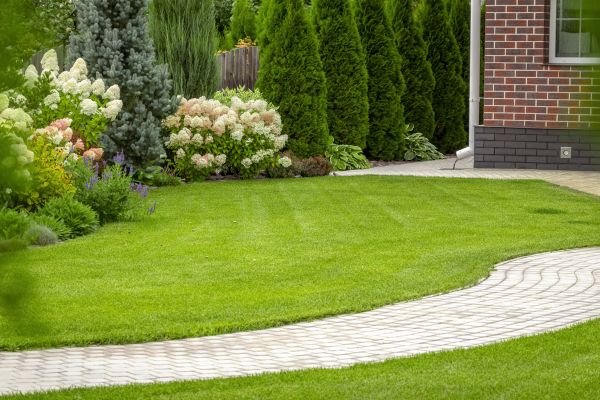 Cost of Landscape Walkway Installation in Bakersfield