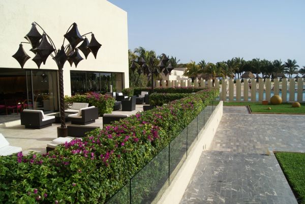 Cost of Patio Path Installation in Bakersfield
